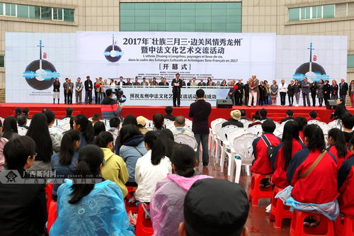中法文化藝術(shù)交流活動(dòng)在龍州盛大開(kāi)幕
