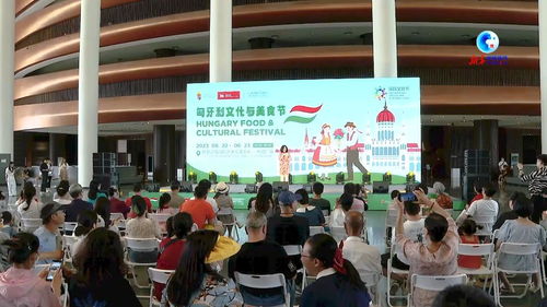 全球連線 以美食促交流 匈牙利文化與美食節亮相河北廊坊